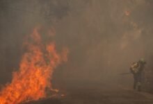 Spain suspends Madrid-Barcelona high-speed rail due to wildfire