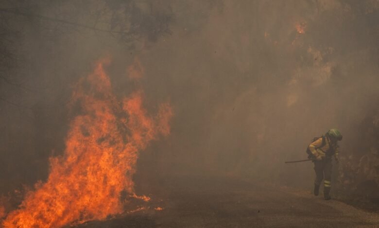 Spain suspends Madrid-Barcelona high-speed rail due to wildfire Spain suspends Madrid-Barcelona high-speed rail due to wildfire