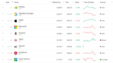 SpaceX and Tesla BTC Holdings