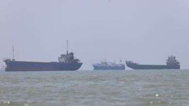 Strait of Hormuz navigation sees gradual return Strait of Hormuz navigation sees gradual return
