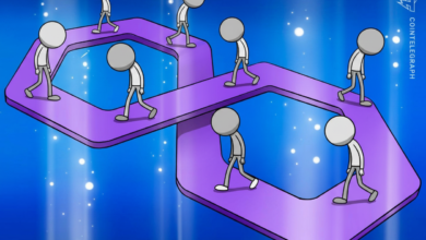 1784242949 hi defi project polygon explained