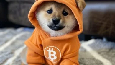 Dogecoin’s Blockspace War: How 'DOG Mode' Is Challenging the Anti-Inscription BIP 110 3 Dogecoin Blockspace Debate