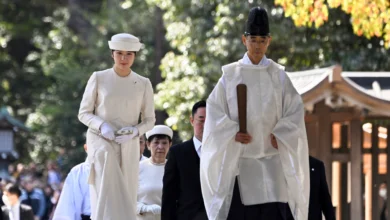 Japan Imperial Succession Law Revisions