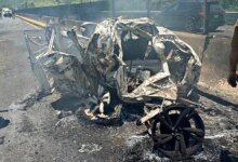 Fatal Highway Pileup in Jalisco Mexico