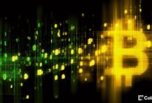 1784411307 1d7fa246e46362389d78474910933c67a424a500 1920x1080