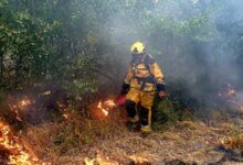 Europe Wildfire Crisis