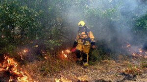 Europe Wildfire Crisis