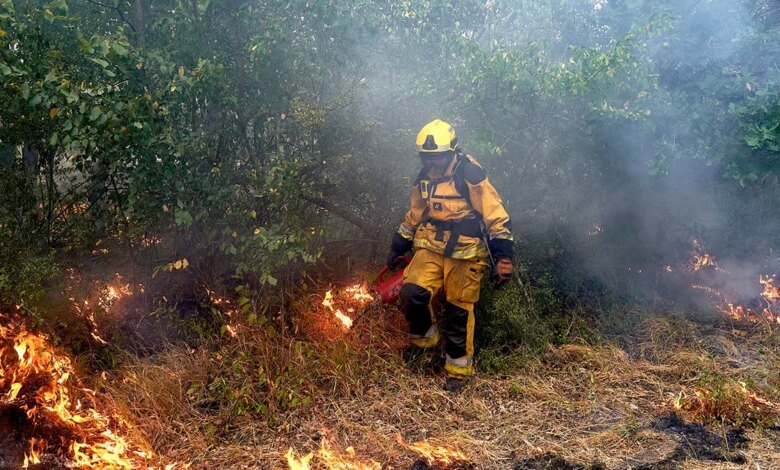 Europe Wildfire Crisis