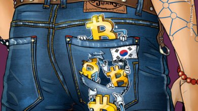 South Korean Regulators Probe Over 40 Crypto Manipulation Cases in Two-Year Crackdown 10 1784510491 lost bitcoins crypto hack hacking falling jeans south korea