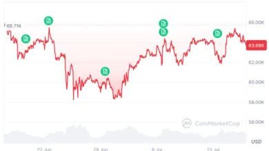 Bitcoin Cycle Bottom Prediction
