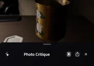 Adobe's Project Indigo Camera App Uses LLMs to Critique and Improve Your Photos 3 Adobe Project Indigo AI Camera
