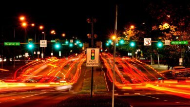Global Road Fatality Trends and Disparities