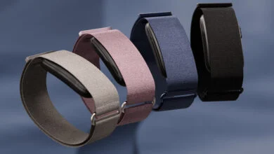 Garmin Cirqa Smart Band