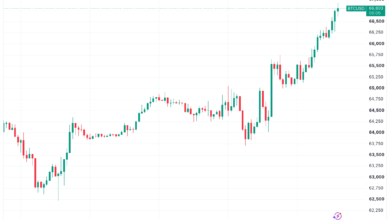 Bitcoin Surges Toward $67,000 as Markets Brush Off Middle East Conflict and Tariff Threats 3 Bitcoin price hits seven-week high