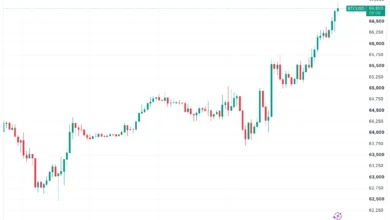 Bitcoin price hits seven-week high