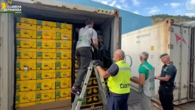 Massive Cocaine Seizure in Italy