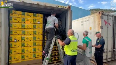 Massive Cocaine Seizure in Italy