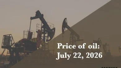Global Oil Benchmark Brent Crude Surges to $95.47 Amid Shifting US Energy Policies 3 Brent Crude Surges to $95.47