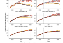 Gender Disparity in Entry-Level Hiring