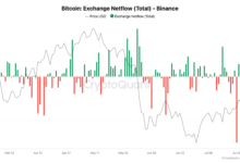 Binance Records Massive Bitcoin Outflow