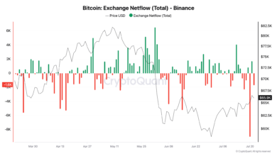 Binance Records Massive Bitcoin Outflow