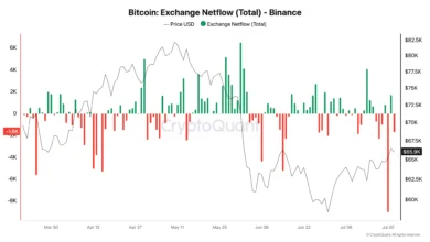 Binance Records Massive Bitcoin Outflow