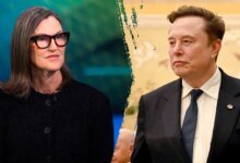 1784730299 cathie wood elon musk split