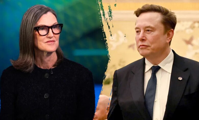 1784730299 cathie wood elon musk split