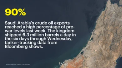 OPEC+ Increases Output as Markets Stabilize