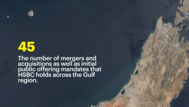 Saudi PIF Shifts Focus to Domestic Growth