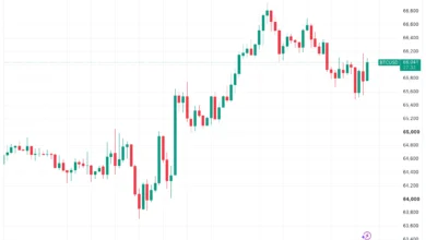 Bitcoin Holds Firm Near $66,000 as Markets Defy Escalating US-Iran Tensions 10 Bitcoin Defies Geopolitical Tensions