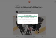 Substack Launches AI Detection Tools