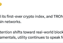 S&P Pantera Revenue Crypto Index