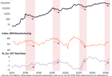 Bitcoin Early Bottom and Macro Factors