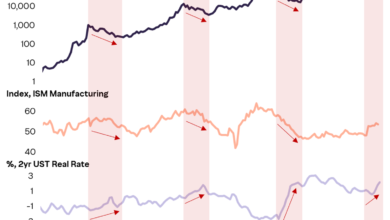Bitcoin Early Bottom and Macro Factors