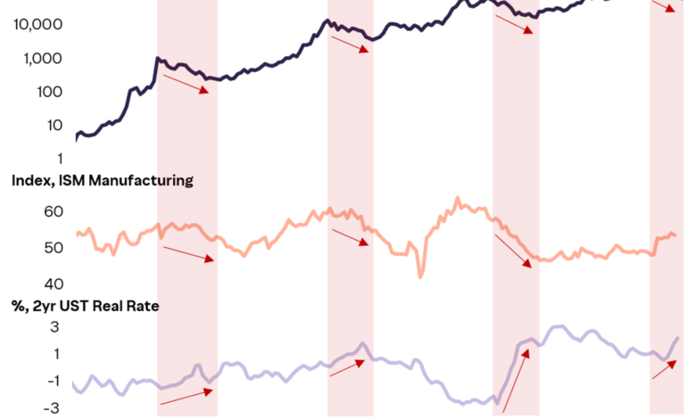 Bitcoin Early Bottom and Macro Factors