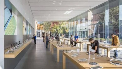 Apple iOS Payment Lock System