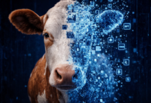 1784828009 Tokenized Cow gID 7.png@png