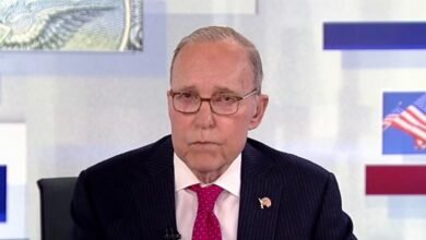 1784843785 larry kudlow 3