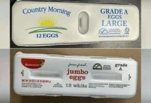 1784851168 egg carton 2