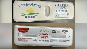 1784851168 egg carton 2