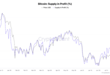 1784886568 bitcoin supply in profit
