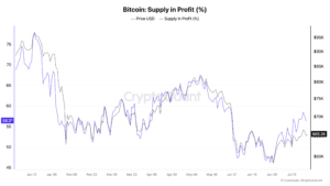1784886568 bitcoin supply in profit
