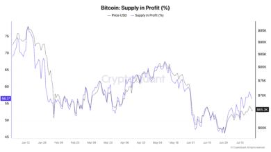 Bitcoin Onchain Recovery Reaches 57% Profitability but Long-Term Signals Remain Unconfirmed 10 1784886568 bitcoin supply in profit