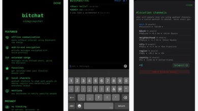 1784912969 bitchat ios app