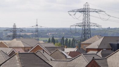 Georgia Grid Expansion and Data Centers