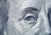 Federal Corporate Equity Portfolio