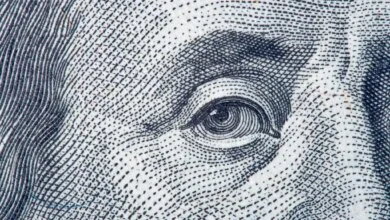 U.S. Assembles $42 Billion Corporate Equity Portfolio Across Scattered Federal Agencies Without Central Oversight 6 Federal Corporate Equity Portfolio
