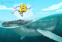 Bitcoin Dormant Activity Hits Low