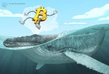 Bitcoin Dormant Activity Hits Low